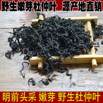Mingqian buds wild eucommia 500g eucommia leaves Zhangjiajie specialty eucommia health buds