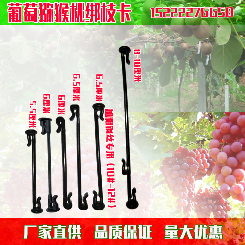 Grape Chic Exotic Fruits Tied Branches Snap Blueberry Grape Tree Curo Branches Fixed Clip Plastic Hooks Tied to Branches Cards