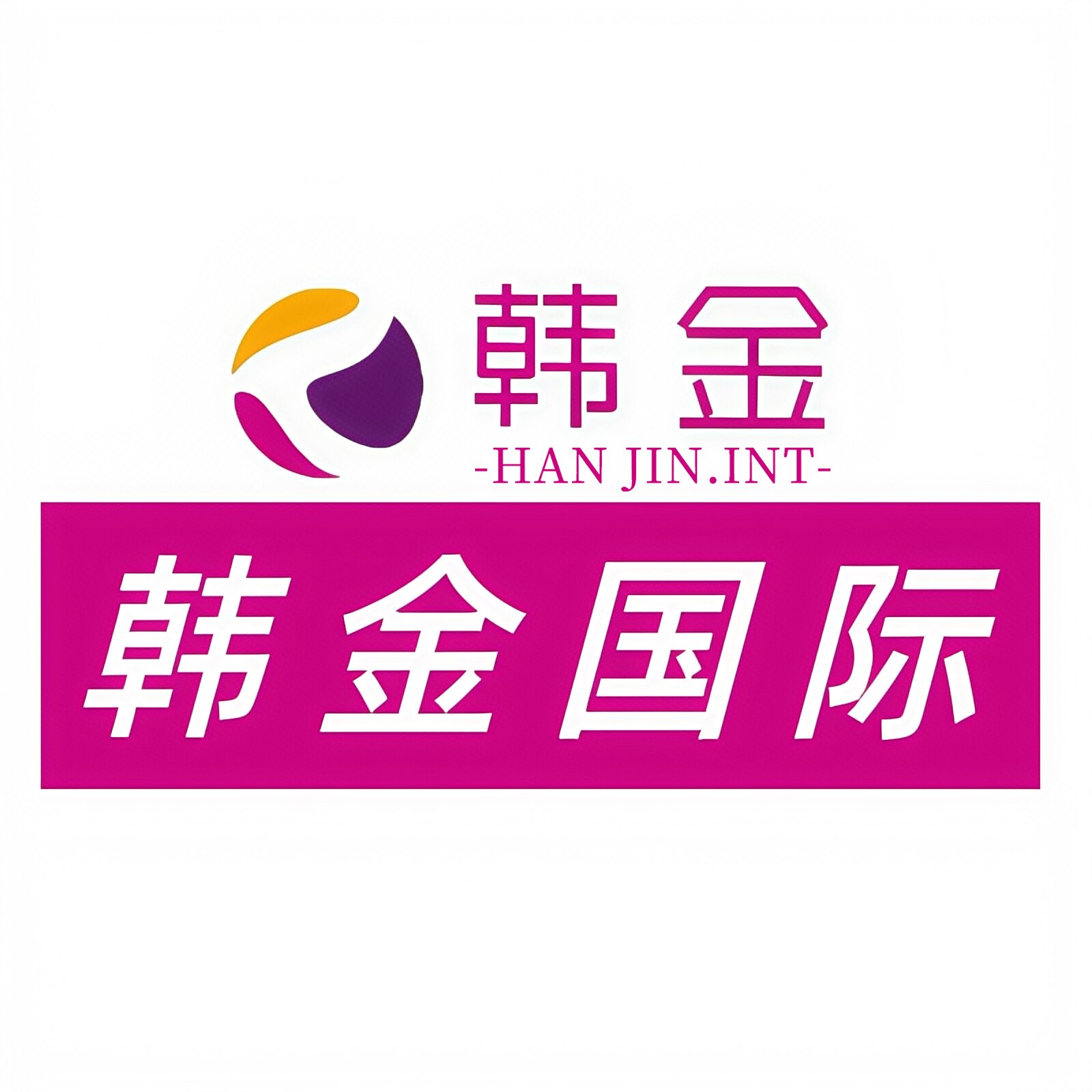 韩金国际的LOGO