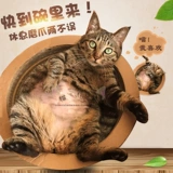 Кошка Xiaoxuan-кусочка в форме гофрированной бумажной бумаги для кошек питомцы питомцы Поставляются с кошками гнездовые шлифовальные кошка кошачья царапина бесплатная доставка