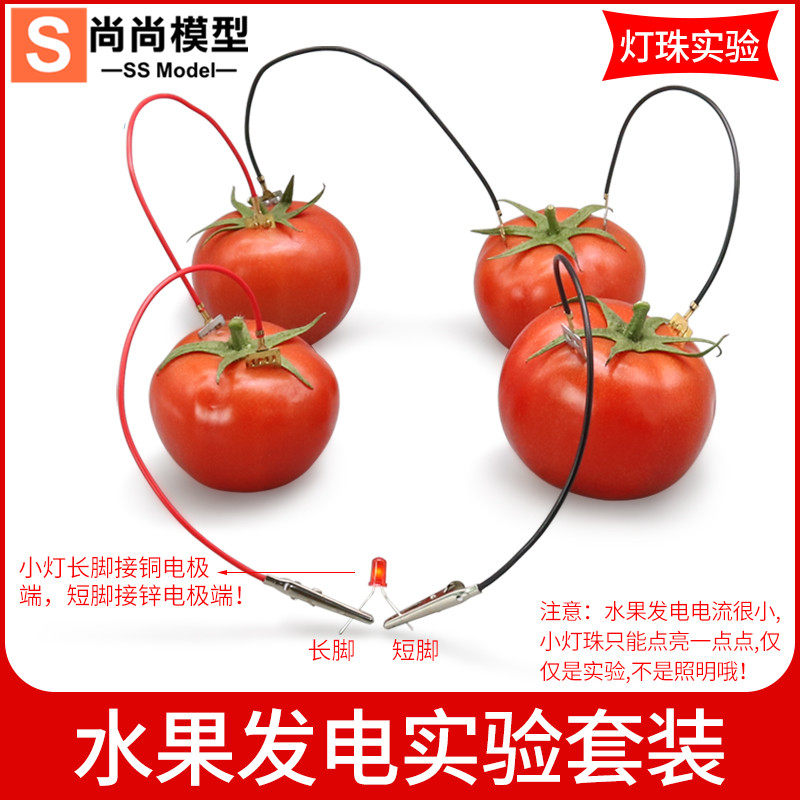 diy可乐土豆柠檬水果电池发电时钟科学小实验材料器材幼儿园小学