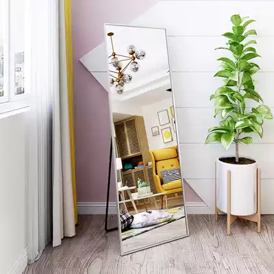 Net red mirror full body dressing floor mirror home fitting girl bedroom girl Wall special price ins Wind