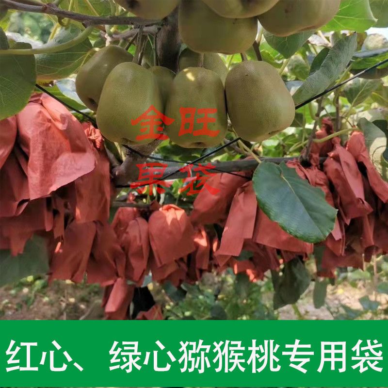 Red and Green Kiwi Fruit Bags, Red Yang Xuxiang Cuixiang Insect-Proof, Rain-Proof, Pesticide-Resistant Bags with Free Shipping