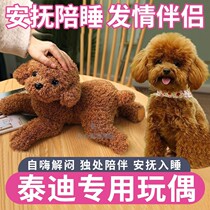 Teddy special mother dog male dog mating toy pooch with toy pet lagoon sexual partner with sleeping doll