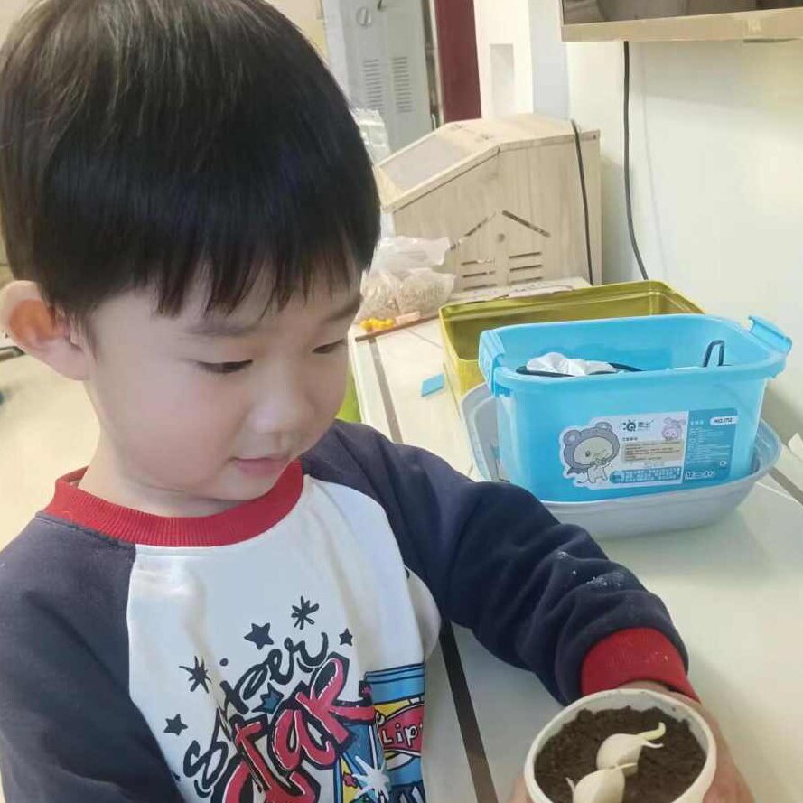 小冯哥壁挂炉温控器