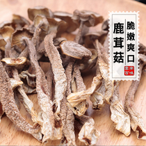 Deer Antler mushroom Dried cat claw mushroom Coral mushroom Wild mushroom Yunnan premium edible mushroom Dried mushroom Shiitake Mushroom 500g