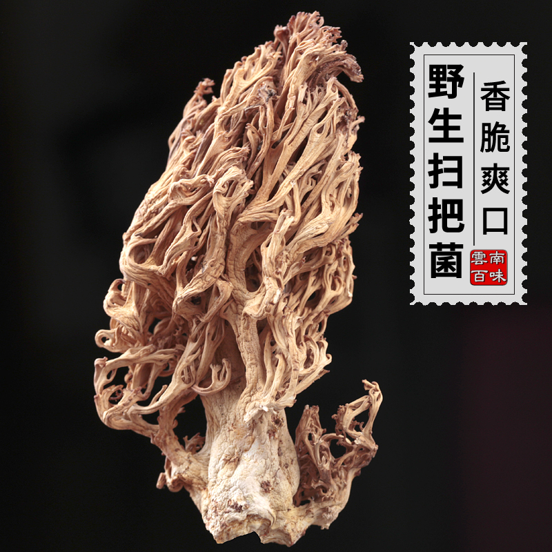 2023 Wild coral bacteria dry brush to sweep bacteria Yunnan special products to cook mushroom broomomomom bacteria 500g