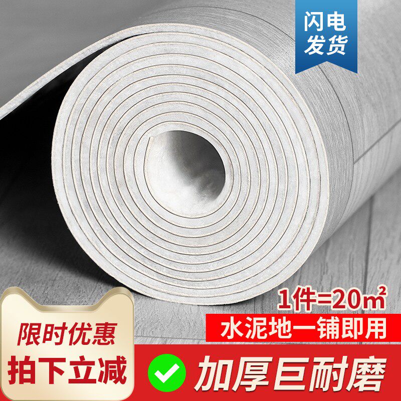 Thickened Carpet Bedroom Living Room Large Area Full Laid Household Plastic Waterproof Moisture-Free Mat-free Girl Ins wind-Taobao