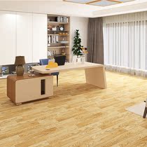 Carpet Bedroom Bedside Living room Study Large area Fully paved Home waterproof moisture-proof leave-in girl ins wind mat