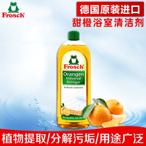 Frosch Import Bathroom Toilet Cleaning Agent Scratches Repair Agent Marble Tile Cleaners Powerful Decontamination