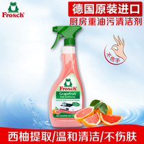 Frosch Germany Imports Oil Pollution Net Kitchen Ventilator Kitchen Ventilator with oil remover powerful to heavy oil stain cleaners