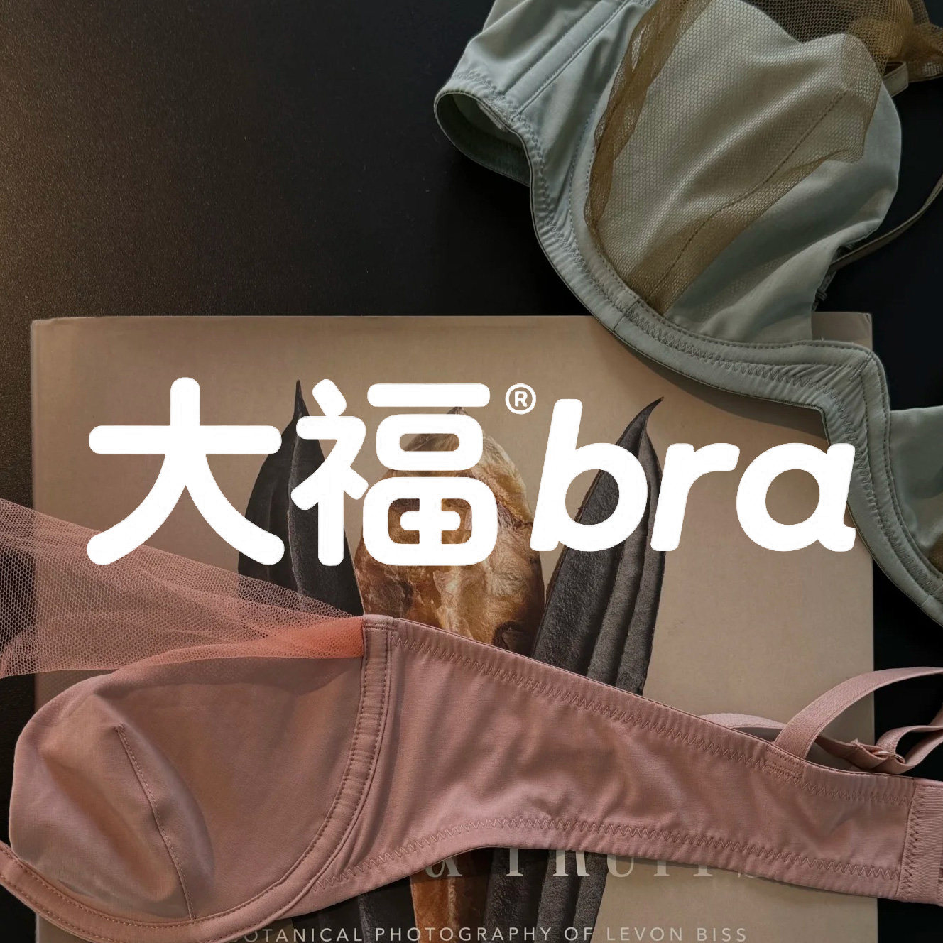 大福bra