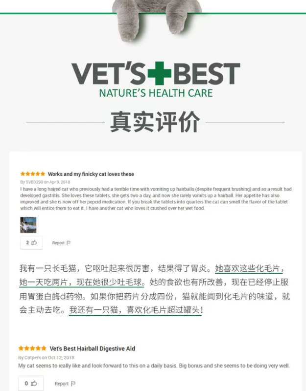 Ủy quyền chính thức! Không thể giải thích được Vet‘s Green Cross Natural Cat Hair Cat Grass 60 Pieces - Cat / Dog Health bổ sung