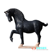 Tang three color horse ornaments black ceramic horse antique old hoof Zodiac horse wild home accessories