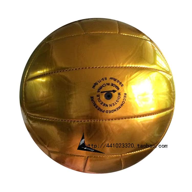 Ballon de volley - Ref 2009649 Image 36