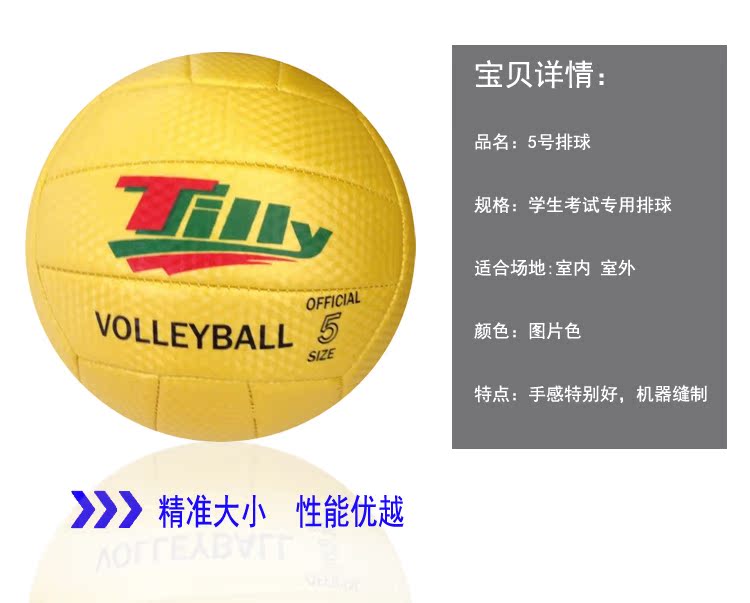 Ballon de volley-ball - Ref 2009525 Image 32