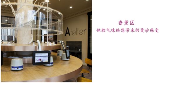 Nước hoa hồng Pháp hữu cơ vùng hoa hồng tinh dầu duy nhất 10ml nuôi dưỡng ánh sáng dầu phẳng - Tinh dầu điều trị dầu neem