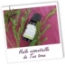 Tinh dầu nước hoa quả vùng cây Pháp 100ml - Tinh dầu điều trị