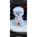 玛莎妮娜面膜正品店