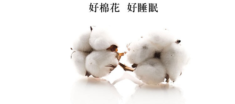 Bông di động túi ngủ bẩn Trong nhà đôi khách sạn đơn du lịch khách sạn chống bẩn vải lanh chăn tui ngu