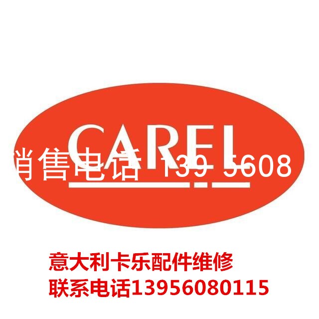 Italian Carle Main Board Repair Carle Main Board NO LINK Repair Italy Carleboard