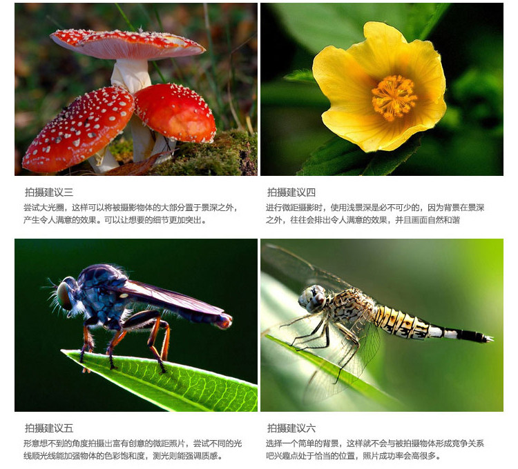 佳能6d 6d2 70d 700d 80d 60d相机偏振镜5d3星光镜uv镜近摄镜配件 虎窝淘