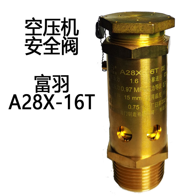 Zhejiang Fuyu Fuyu Copper A28X-16T Spring Safety Valve Safety Valve DN152034 Inspection