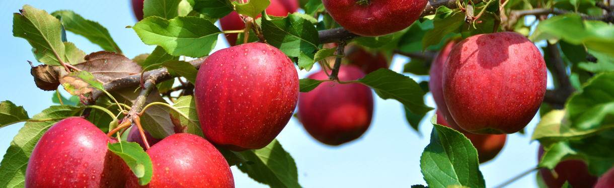 嘉信盈泰内盘期货标准投资账户,嘉信盈泰内盘期货投资顾问,嘉信盈泰公司正规吗