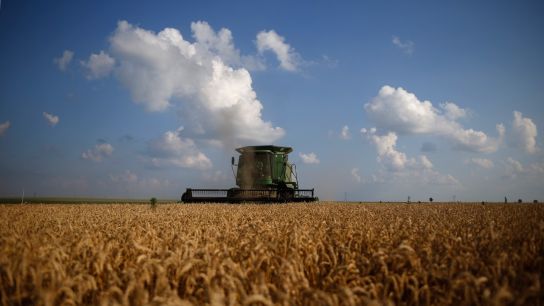 小麦期货在剧烈波动的交易日后第二天暴跌近5%，交易员评估全球供应前景，世界上最大的粮食种植地区之一正遭受战争的蹂躏...