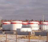 卢克石油公司（Lukoil）：由于卢克石油公司投产了新油田，该公司的石油产量在未来8至10年里将继续增加