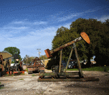  惠誉(Fitch)旗下子公司BMI周一(3月5日)发布报告称，由于市场加速恢复平衡以及市场情绪驱动的支持，预计今年布伦特原油将持续上涨