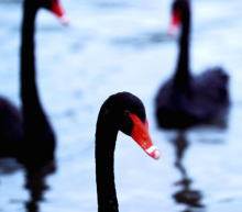 油价周四收低，因有迹象显示伊朗恢复核协议取得进展，该协议可能为市场带来更多石油...