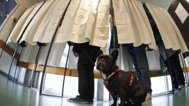 西欧各大国领导人，现在没一个好过的。已经持续三周的暴力抗议活动，让法国总统马克龙现在如坐针毡，骑虎难下。马克龙可能采取紧急减税措施来平息暴力抗议，但代价可能...