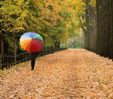 9月22日亚市早盘，现货黄金扩大涨幅，朝鲜正考虑采取史上最强应对措施。油价微幅震荡。本文收集了针对汇市、金市和油市在内的众多投行机构评论，方便大家做参考。