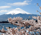 日本央行缩减3至5年期限日本国债购买规模300亿日元，从3300亿日元减至3000亿日元，是迄今为止规模最大的削减。不过，日元反应却非常平淡。分析认为，这为日...