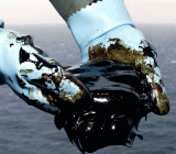 金融市场存在形形色色的规律，不同金融资产之间的走势具有一定的相关性。加元、挪威克朗、俄罗斯卢布、墨西哥比索是公认的传统石油货币...