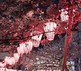 共和党税减法案新增的一些不确定性因素使得美元持续走弱，美元兑日元连收三根阴线。尽管日本央行消息以及美债收益率上涨为汇价提供了短线支撑。但在重要的消息出来之前，行情或难以发生实质性转折。