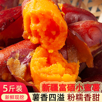 Xinjiang sweet potato selenium-rich red heart small sweet potato special sweet potato sweet sweet potato honey sweet potato baby Supplement 5kg