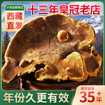 Tibet wild 35-year-old mulberry tree mulberry yellow Tibet Xiaonu 13-year-old autonomous region Ganoderma lucidum premium 500g