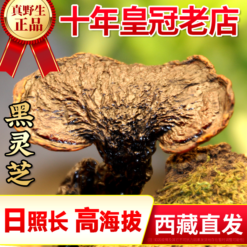 Tibet straight-haired wild Ganoderma lucidum black Ganoderma Tibetan Xiaonu selected dry goods whole red Ganoderma slices whole branches