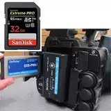 Umbrella ground Aisi enemy coffee 256 cum 170 jujube seedling