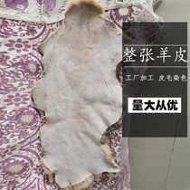 Factory direct whole sheepskin dyeing beach sheepskin pure wool blanket Fur one-piece cushion Bedside wool pad whole