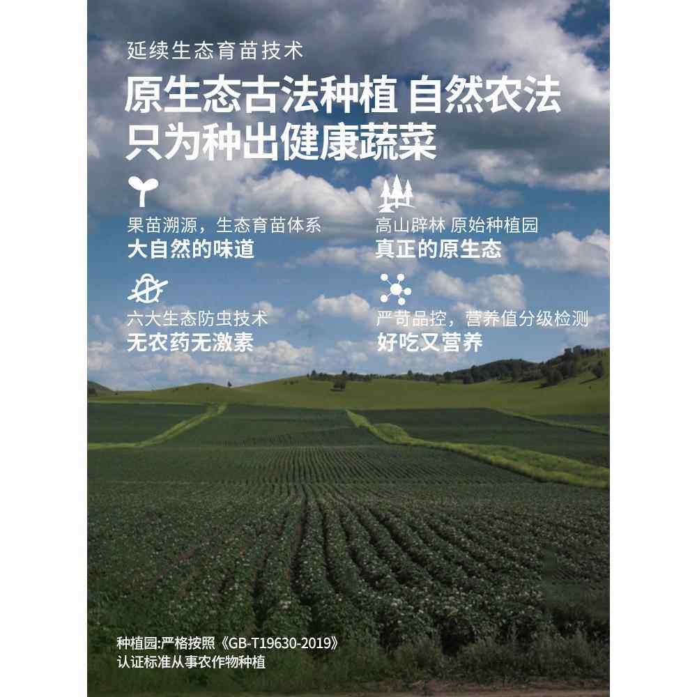 新鲜小土豆500g如何选购？了解这些关键要素让你轻松下单！