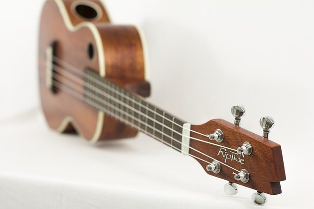 a chord ukulele