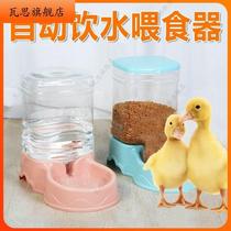 Wass duck automatic feeder for ducks chickens and geese eating bowls and basins for pet Cole ducks trough feeding water feeder