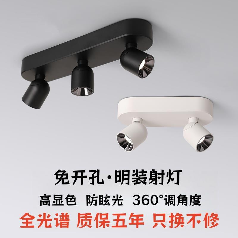 Surface-mounted anti-glare double-headed three-head spotlight folding ceiling downlight adjustable angle photography balcony restaurant LED light