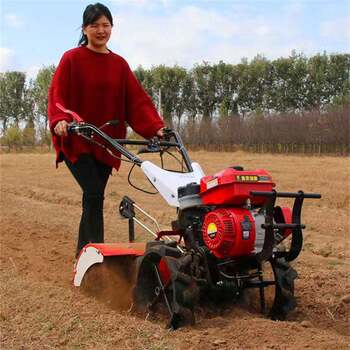 Factory direct sales rotary tiller diesel powered 195 type soil loosening micro tillage machine flood and drought dual-purpose farmland trenching machine