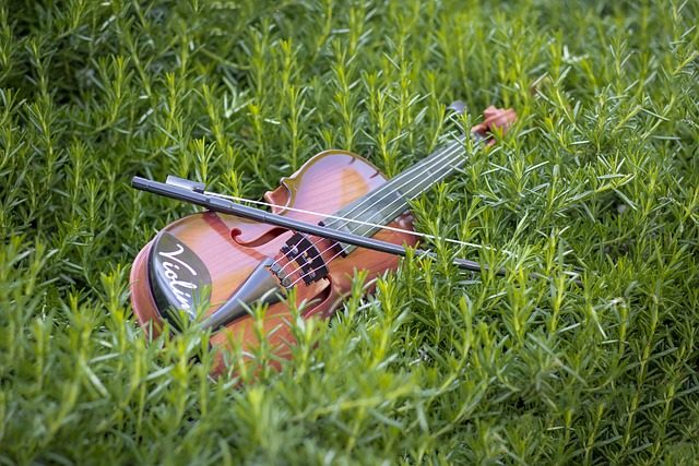 how to play twinkle twinkle little star on violin