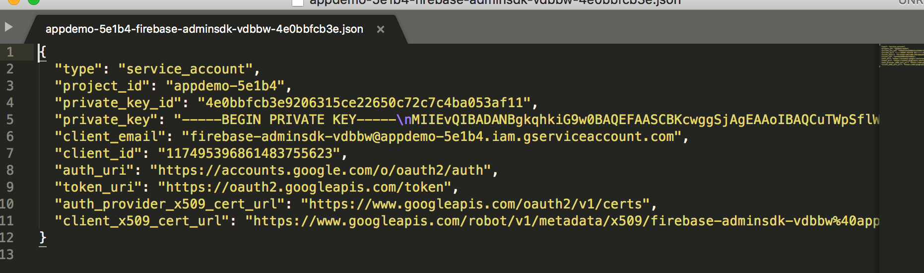 Generated service account key JSON file
