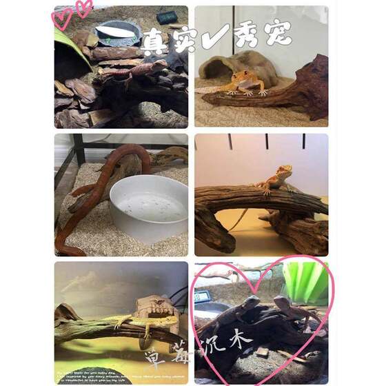 Reptile Hideout and Decorative Landscaping for Freshwater Noteskink Lizards, Wooden Desert Tank, Pure Natural Deadwood Gecko Basking Platform